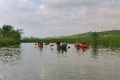 imm035_36-12