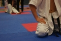Deutsche Kyokushin-Karate Meisterschaft 2011 Hamburg