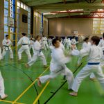 Karatelehrgang Zanshin Göttingen