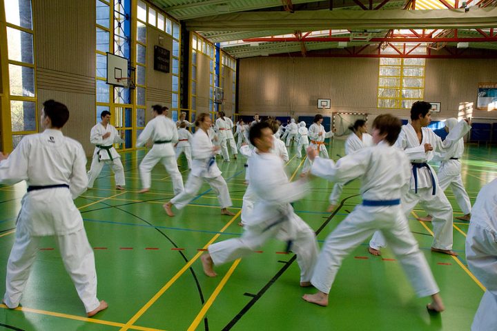 Karatelehrgang Zanshin Göttingen