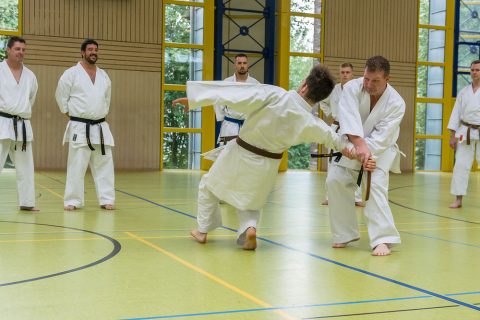 Zanshin Sommerlehrgang 2017 mit Andreas Buhl, Sven Grote, Christoph Reinecke - Selbstverteidigung und Kumite