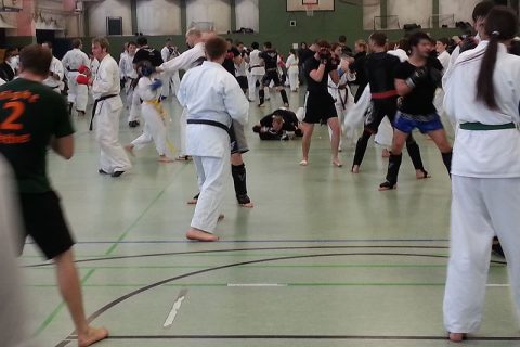 Sparring beim Neujahrsirikumi 2013 in Halle