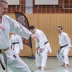 Zanshin Göttingen - Karate Training