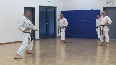 Video: Kihon- und Kata-Training mit Steve Mosmondor