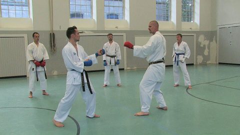 Video: Kumite-Training mit Steve Mosmondor